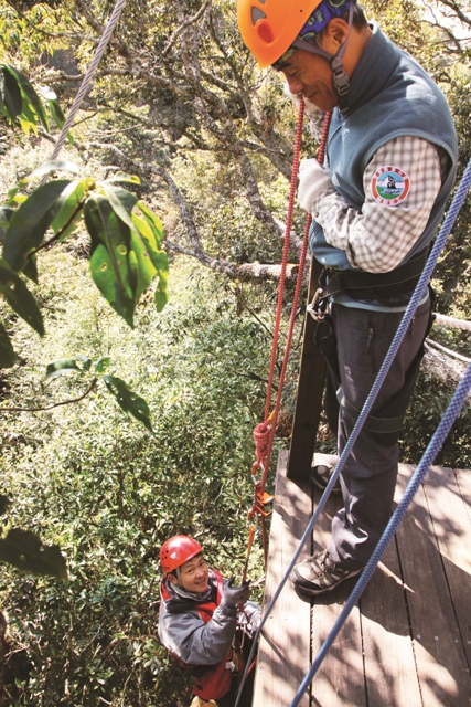 要上樹冠平臺可要花上一番力氣/潘振彰攝
