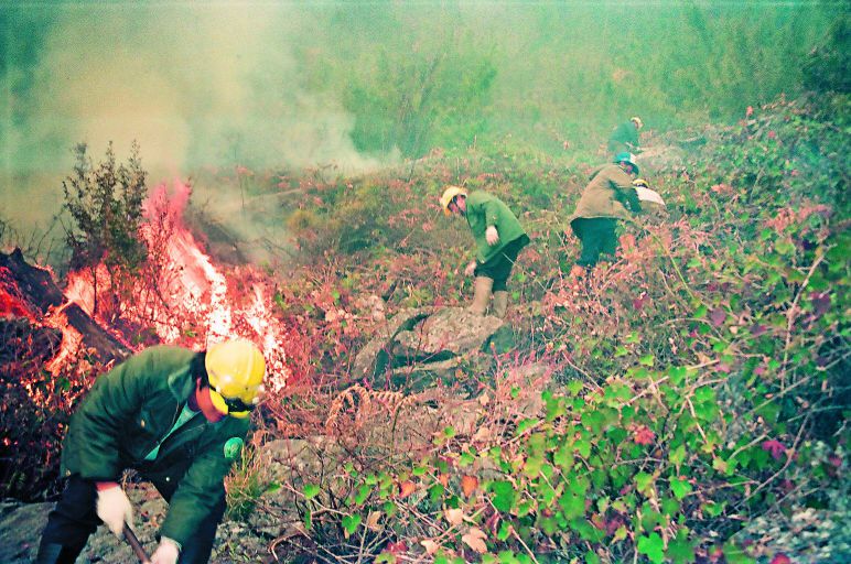 玉山國家公園及林務局人員協同撲滅大火/玉管處提供