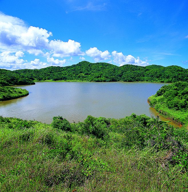 南仁山熱帶雨林永久樣區