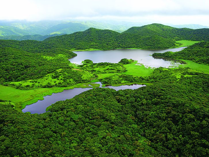 南仁湖/墾管處提供