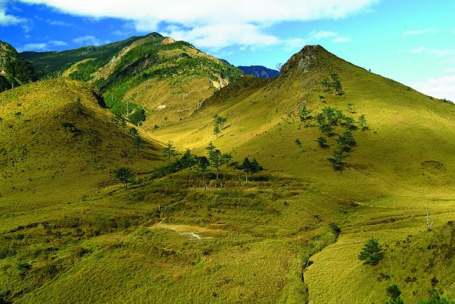 八通關草原/何昌穎攝