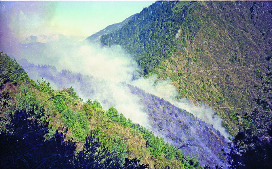 1993年塔塔加森林火災現場/玉管處提供