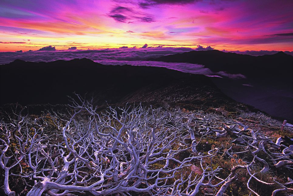 雪山晨曦/唐玉穗攝