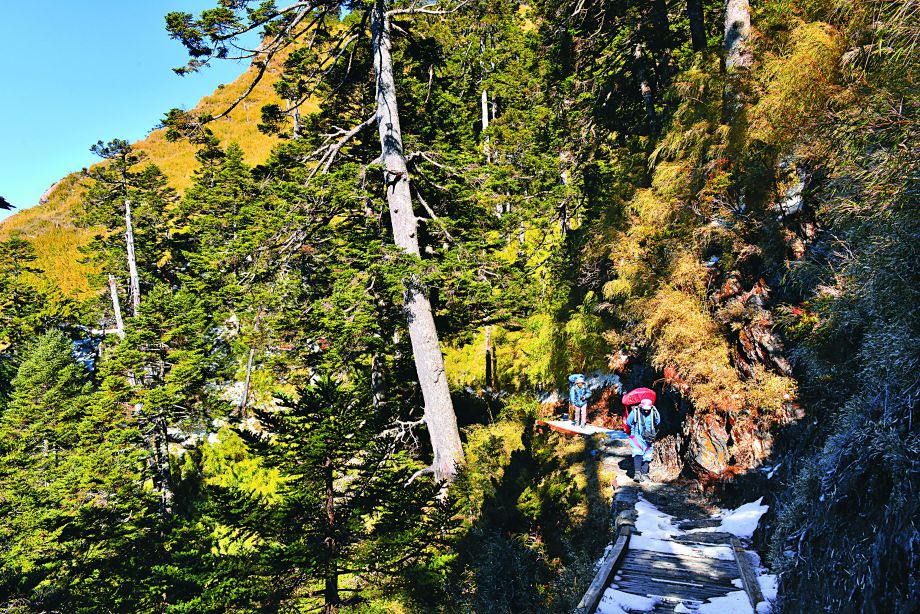 登山的過程充滿未知的變數／何昌穎攝