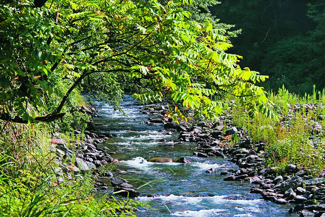 七家灣溪／張燕伶攝