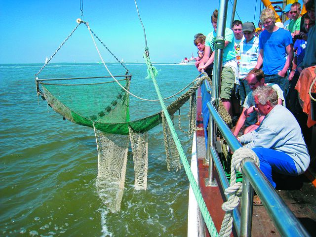 小型拖網作業解說展示