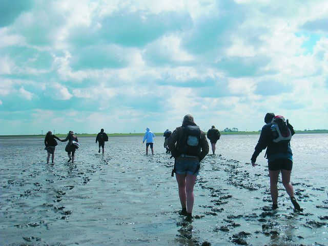 在嚮導的帶領下進行泥灘地健行