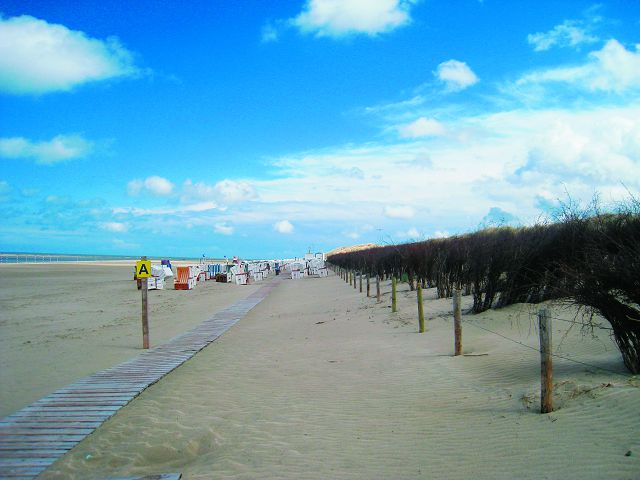 在離岸沙洲島上,為了固沙而以樹枝搭成的攔沙結構