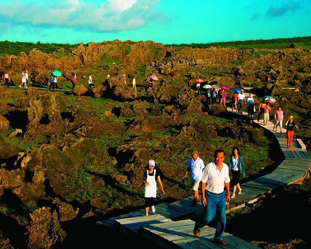 坐看風雲起—龍坑生態之旅