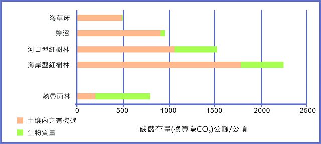 全球海岸棲地與熱帶森林平均碳儲存量圖/呂慧穎重繪資料來源:Murray et al,(2011). Green Payments for Blue Carbon: Economic Incentives forProtecting Threatened Coastal Habitats. Nicholas Institute Report.NI R 11-04.