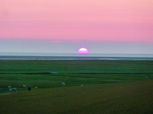 瓦登海寬廣的平原/邱麗英提供