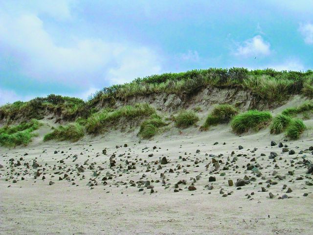 受風浪嚴重侵蝕的沙岸