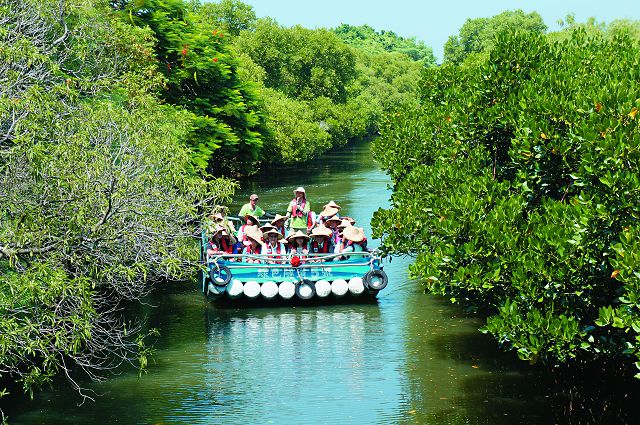 部長一行人乘筏穿越四草紅樹林綠色隧道，並聆聽在地蚵農現身說法