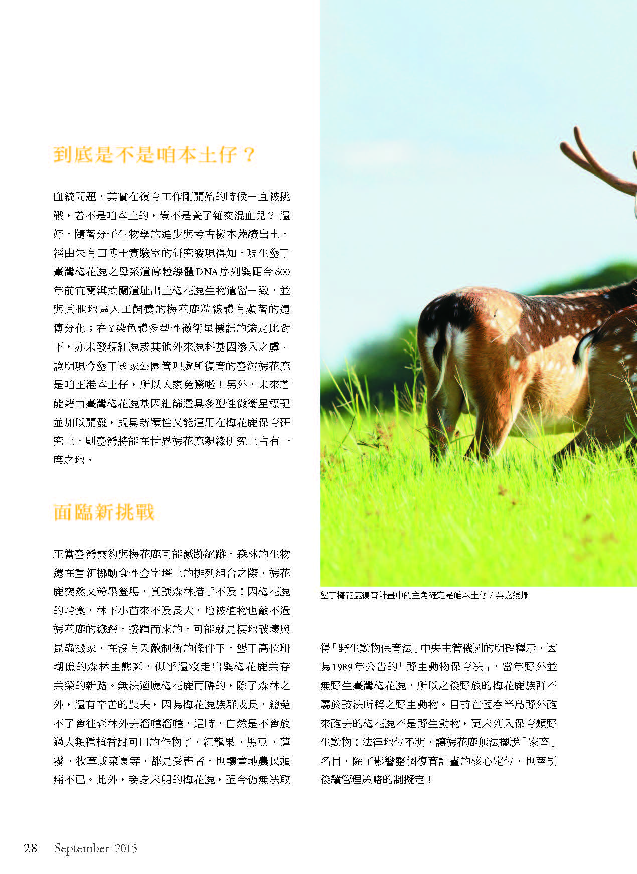 2015九月份季刊
