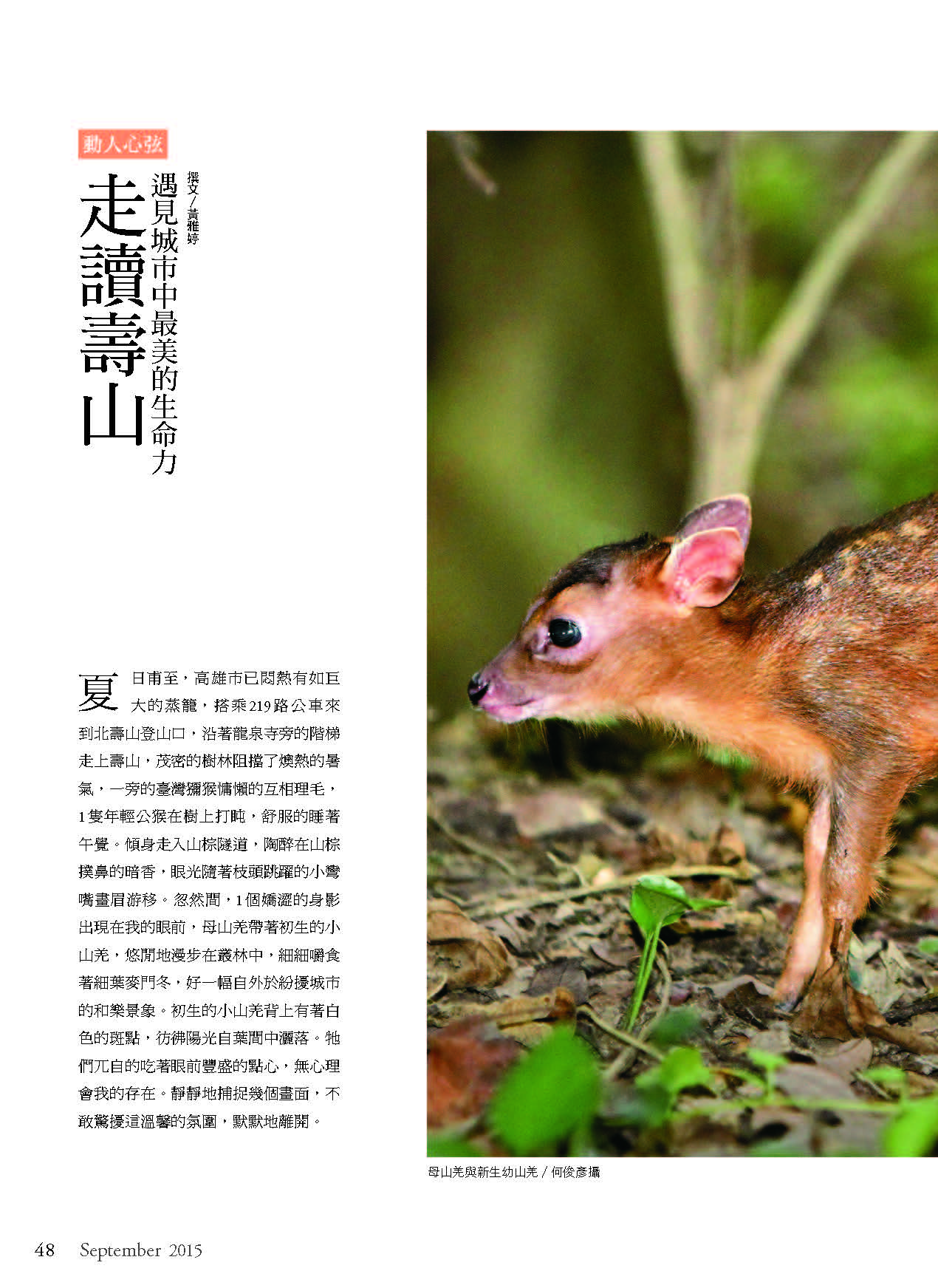2015九月份季刊