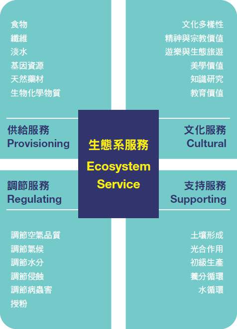 生態系服務說明圖／編輯部整理