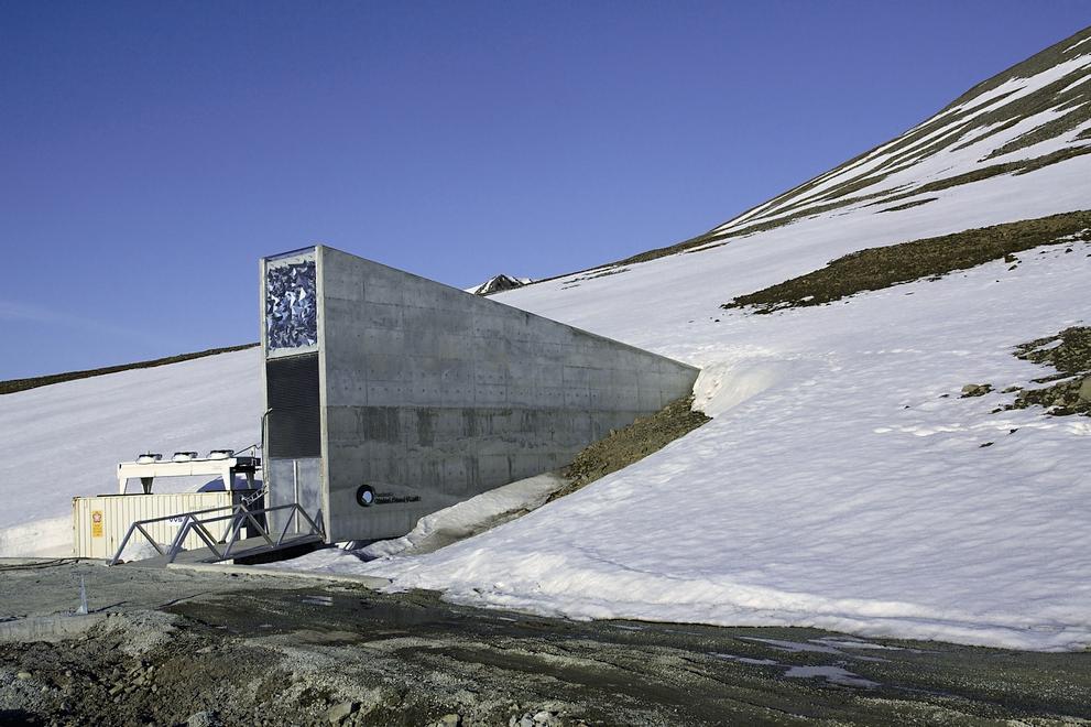 位於斯瓦爾巴群島上的全球種原庫，將從世界各地收集而來的各種植物種子保存在地下倉庫裏／達志有限公司提供 