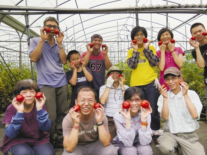 消費者體驗東埔有機牛番茄採果樂