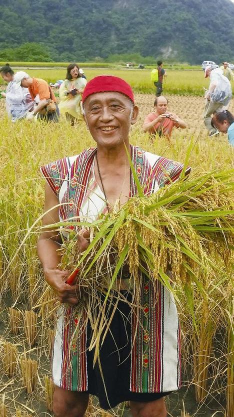 玉山國家公園南安部落的有機農友示範收割／玉管處提供 