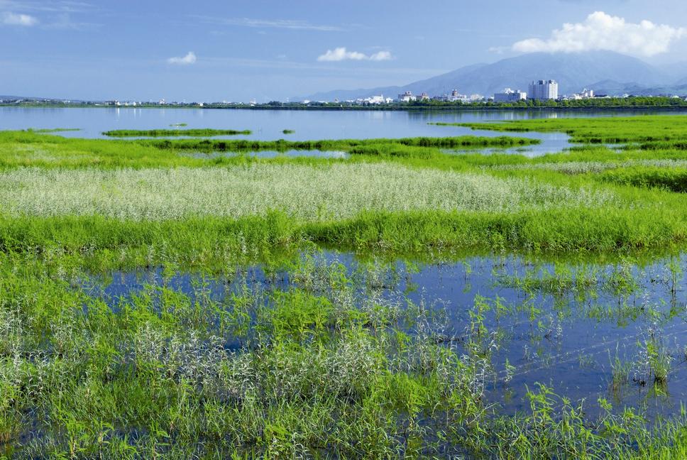 墾丁龍鑾潭對人與鳥來說都是重要的環境／何小綠攝 