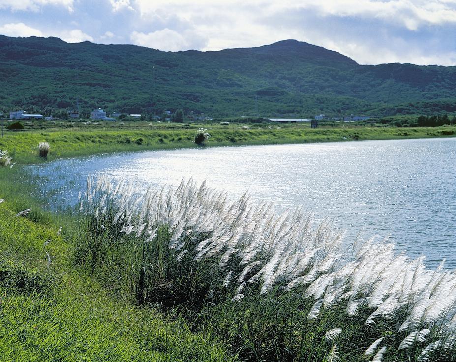 墾丁龍鑾潭周邊濕地是雁鴨重要的棲地／墾管處提供 