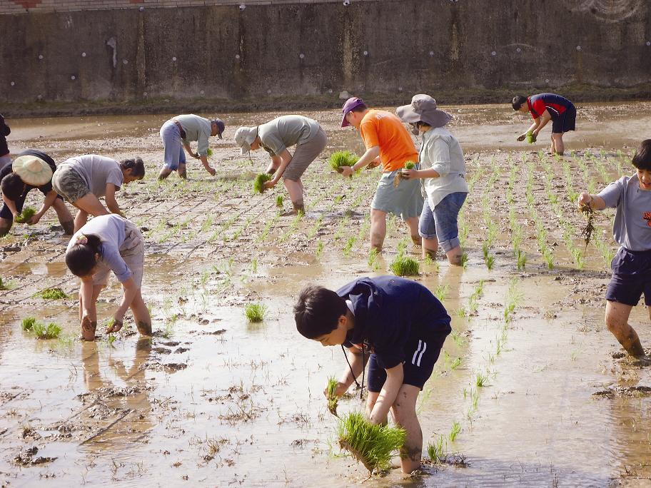 墾丁國家公園中龍水社區的體驗插秧生態遊程／墾管處提供 