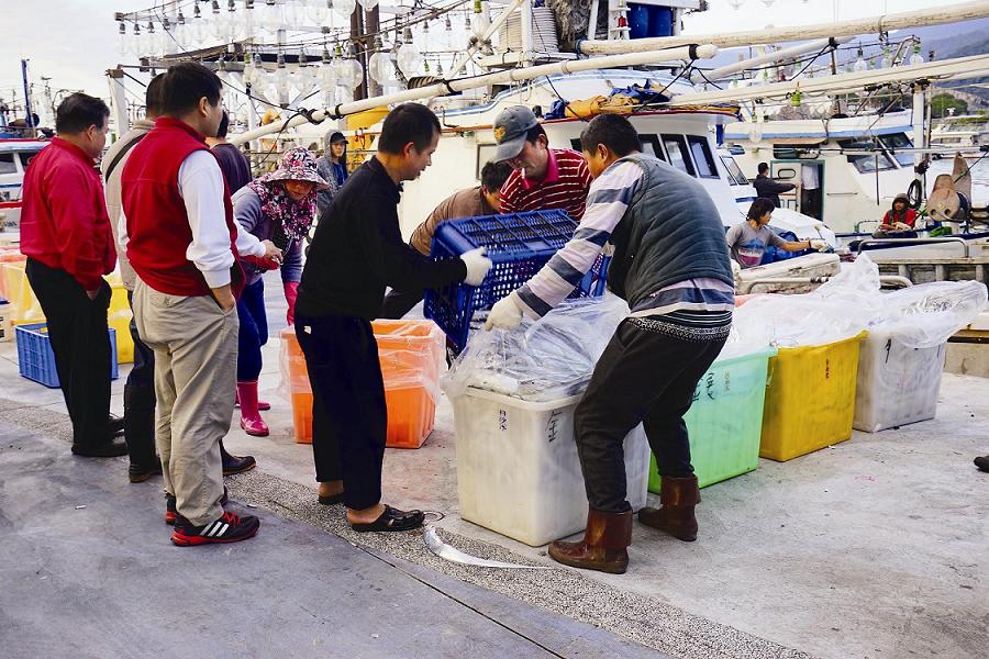 北海岸魚源枯竭速度超乎預期，海洋沒有野生魚類可吃的日子恐提前到來／楊懷智攝 