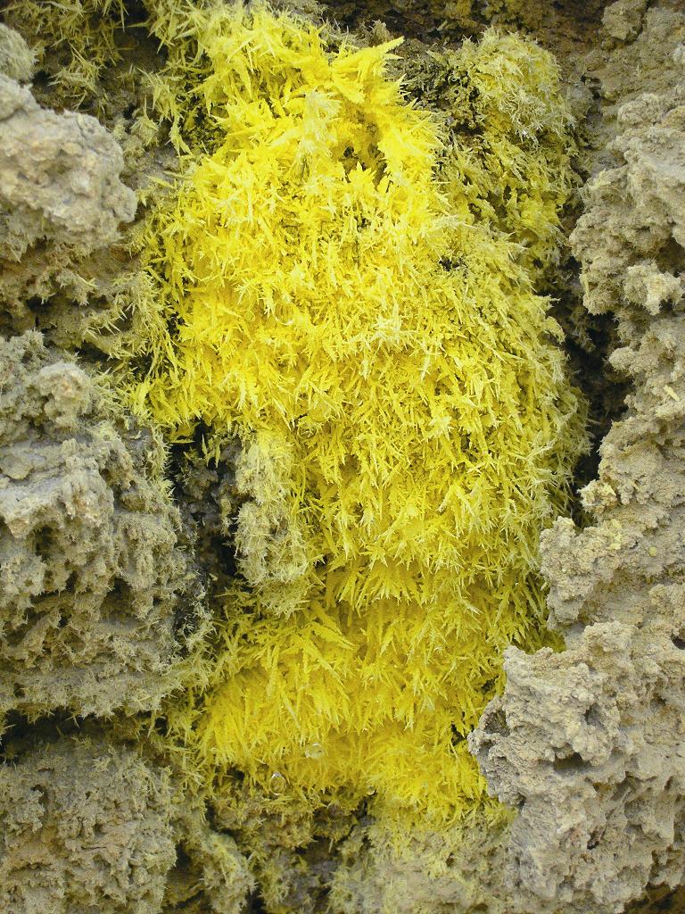 龍鳳谷美麗的針簇狀硫磺結晶／王鑫攝