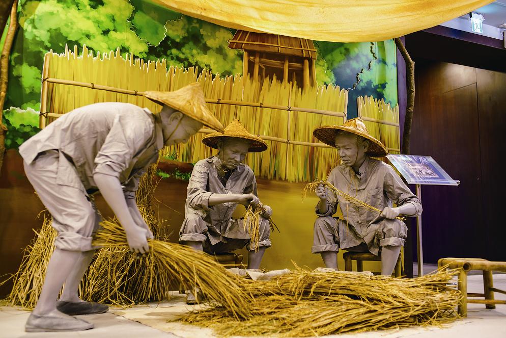 拔穗與選穗/楊懷智攝