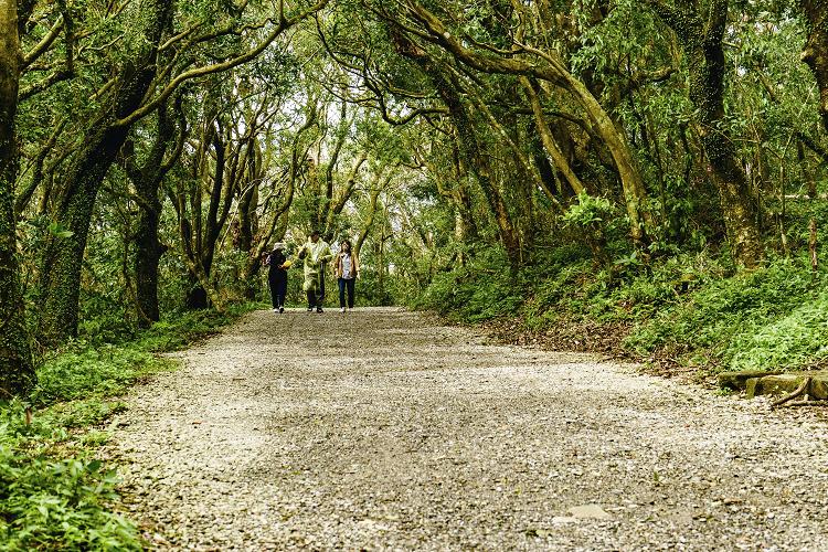 陽明山國家公園二子坪步道自2015年8月取消沿線的垃圾桶設置,鼓勵民眾自行攜帶垃圾下山/楊懷智攝