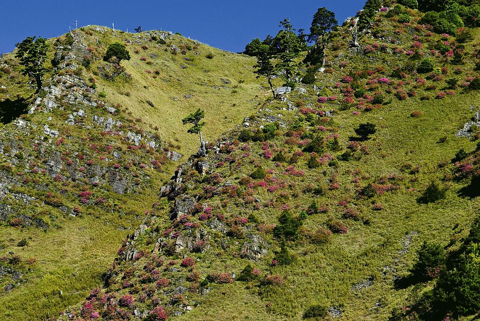 雪山是臺灣第二高山,也是臺灣最美的山之一