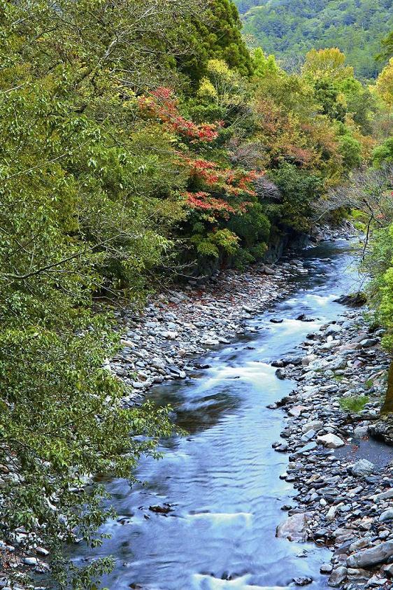 七家灣溪是人類回饋自然的示範區/潘振彰攝