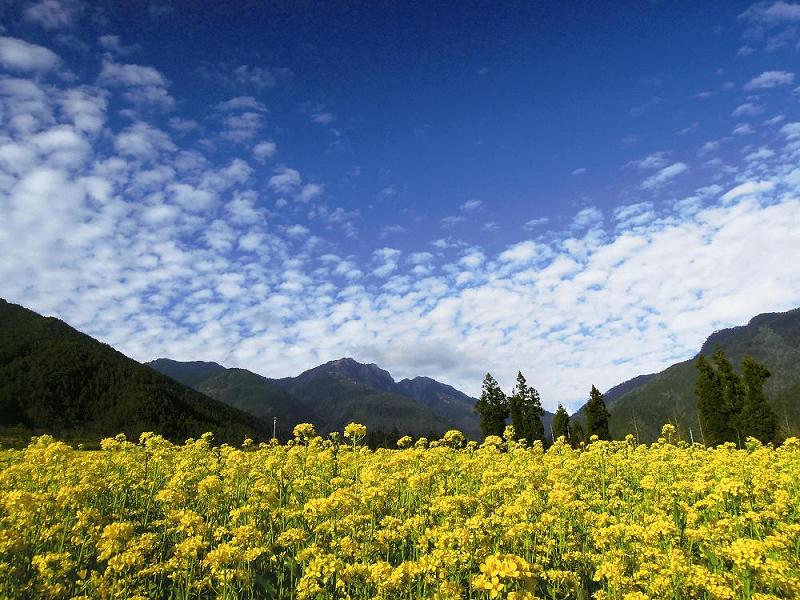 有此美景,世俗間還有什麼好掛慮的呢?