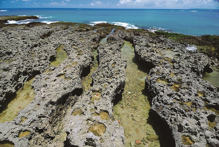 在許多原始的海岸棲地中,棲地環境本身就具有防風抗浪的能力/何小綠攝