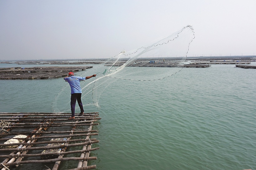 台管處努力推廣環境友善理念至區內傳統養殖/台管處提供