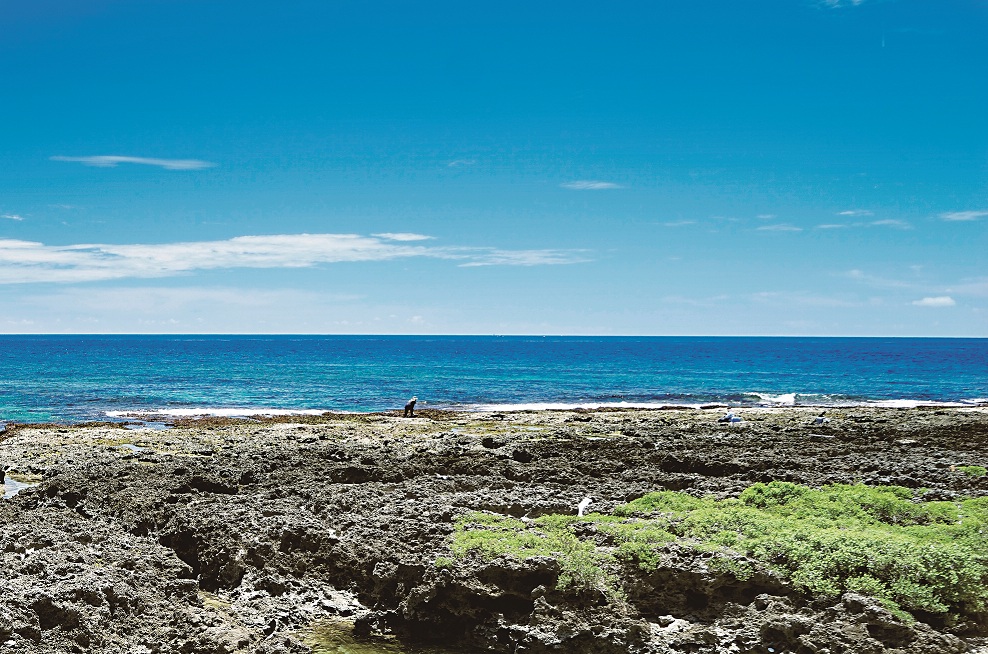 珊瑚礁生態敏感而脆弱,合理管理海岸的遊憩行為與土地利用,才能保護水面下的珊瑚礁生態/徐思琦攝