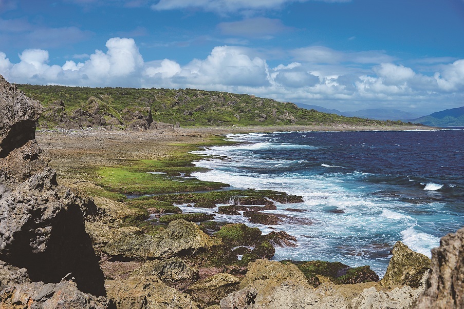 龍坑生態保護區雖然歷經阿瑪斯號汙染事件，但珊瑚礁生態在墾管處的復育下展現出驚人的恢復力／楊學飛攝 