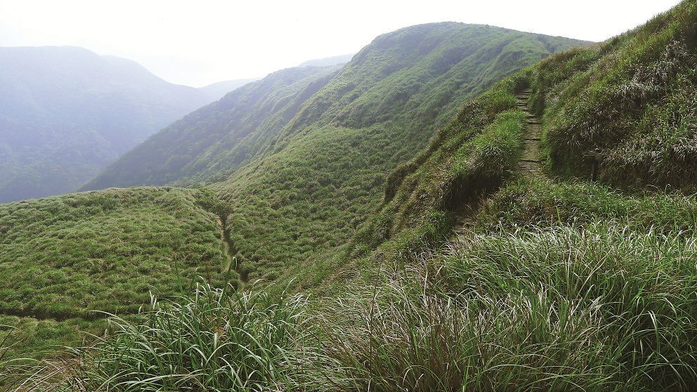陽明山魚路古道／楊懷智攝