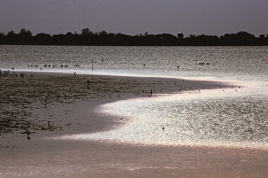 台江地區是漢人文化與南島文化產生交會的所在／台管處提供 