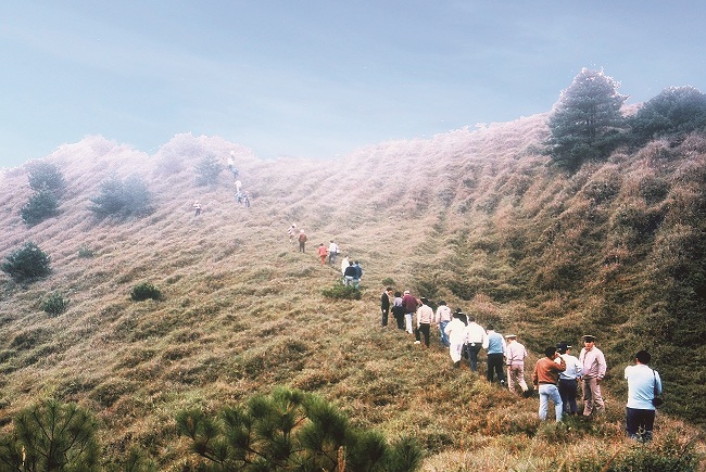 為瞭解新中橫公路可能的影響,學者與政府官員們一同至塔塔加現勘/郭瓊瑩提供