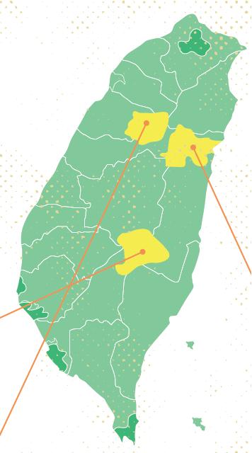 走步道,巧遇藍腹鷴