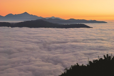 由鹿林山看向陽山雲海/何小綠攝