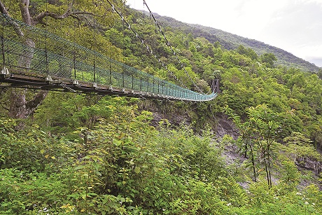 瓦拉米步道/何小綠攝