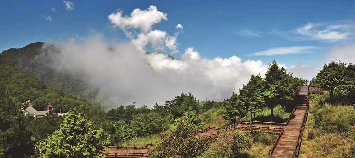 雲霧步道/雪管處提供