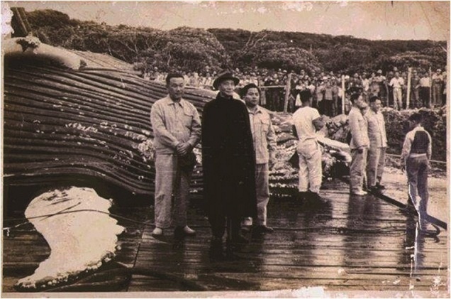 前總統蔣介石參觀香蕉灣捕鯨事業／墾管處提供
