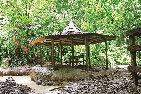 穿越迪加島上1,100公尺的步道，可抵達著名的泥火山，冷火山泥坑則開放旅人SPA體驗／陳怡珊攝