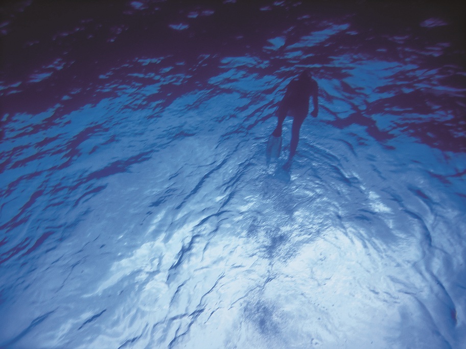 海洋教育要讓人重新找回徜徉在大海之中的幸福