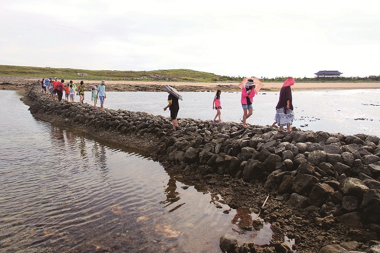 走上「石滬」的孩子,透過體驗、觀察與討論,獲得屬於自己獨一無二的經驗