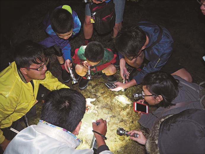「藍海光影─大光潮間帶活動」夜間觀察,開啟小朋友全新的潮間帶體驗/墾管處提供