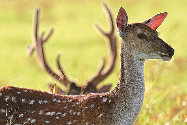墾丁砂島有著令人心曠神怡的海景／杜虹提供